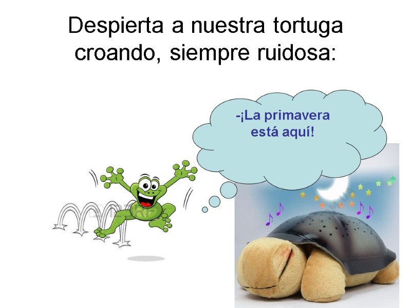 Despierta a nuestra tortuga croando, siempre ruidosa:  -¡La primavera está aquí!